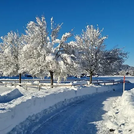 Alpenherz