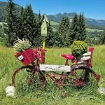 Alpenherz * Obermaiselstein