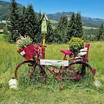 Alpenherz *